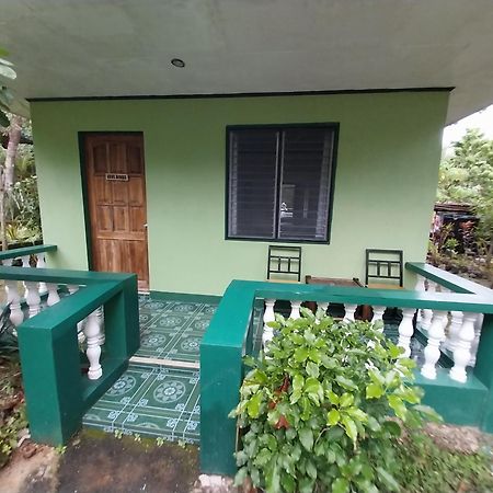 1Peace Beach Resort Anda  Exterior foto